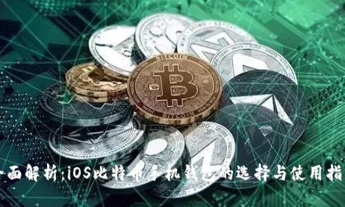 全面解析：iOS比特币手机钱包的选择与使用指南