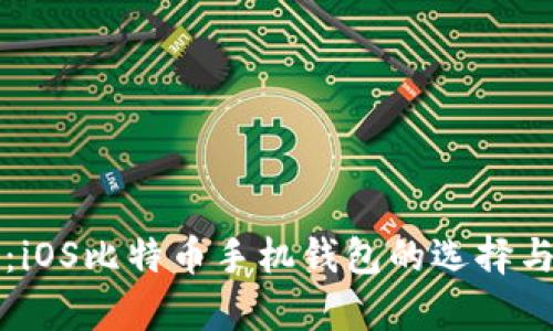 全面解析：iOS比特币手机钱包的选择与使用指南