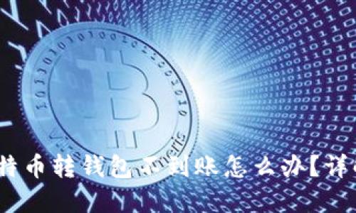 bianoti比特币转钱包不到账怎么办？详解解决方法