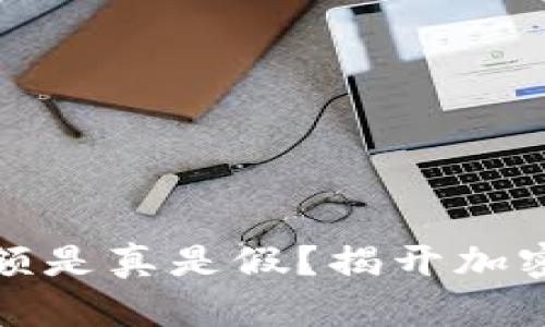 TP钱包显示的金额是真是假？揭开加密资产的神秘面纱