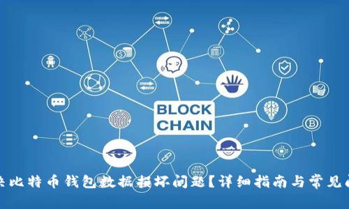 如何解决比特币钱包数据损坏问题？详细指南与常见问题解答
