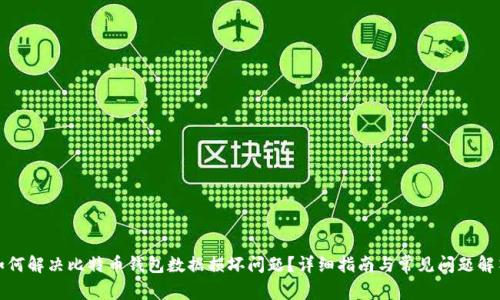 如何解决比特币钱包数据损坏问题？详细指南与常见问题解答