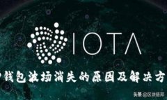 TP钱包波场消失的原因及解