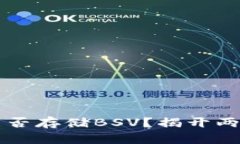 以太坊钱包能否存储BSV？