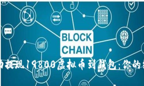 如何成功提现19800虚拟币到钱包：你的终极指南