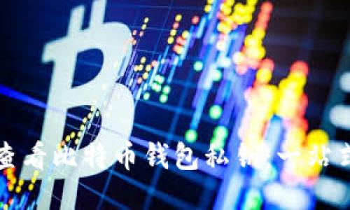 如何查看比特币钱包私钥：一站式指南