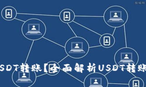 如何安全、快速地进行USDT转账？全面解析USDT转账钱包的选择与使用技巧