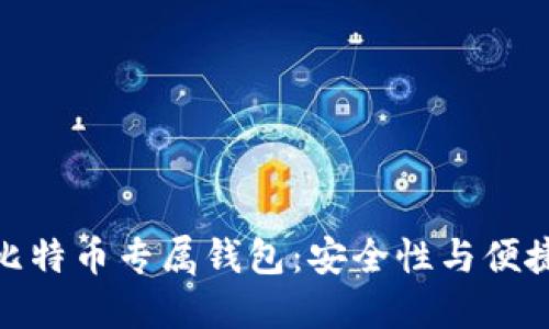 选择最适合的比特币专属钱包：安全性与便捷性的完美结合