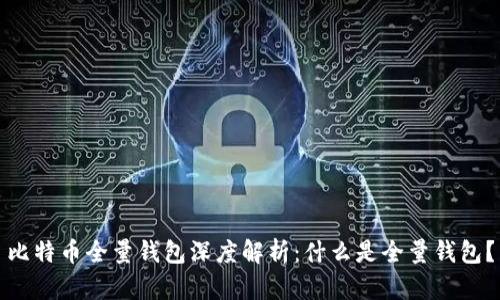 比特币全量钱包深度解析：什么是全量钱包？