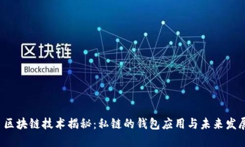  区块链技术揭秘：私链的钱包应用与未来发展