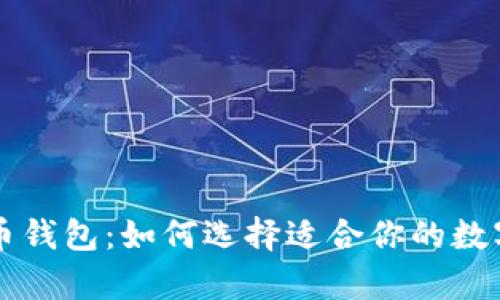 新加坡元比特币钱包：如何选择适合你的数字货币存储方案