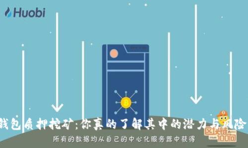 TP钱包质押挖矿：你真的了解其中的潜力与风险吗？