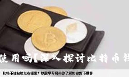 比特币钱包能一直使用吗？深入探讨比特币钱包的未来与安全性