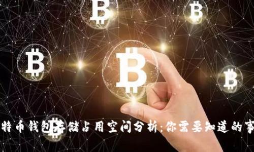 比特币钱包存储占用空间分析：你需要知道的事情