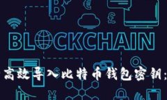 如何安全高效导入比特币