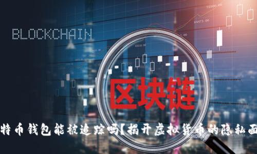 比特币钱包能被追踪吗？揭开虚拟货币的隐私面纱