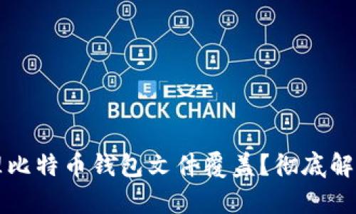 如何有效管理比特币钱包文件覆盖？彻底解析与实用指南