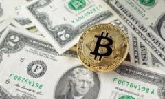 区块链钱包图片大全下载：全方位体验数字资产