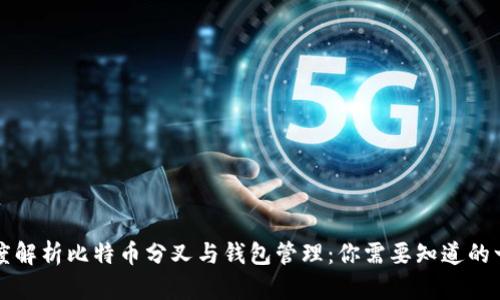 深度解析比特币分叉与钱包管理：你需要知道的一切