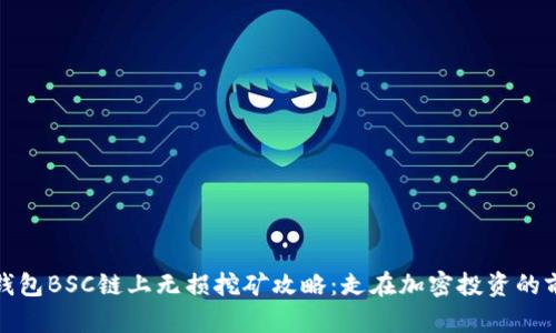 TP钱包BSC链上无损挖矿攻略：走在加密投资的前沿