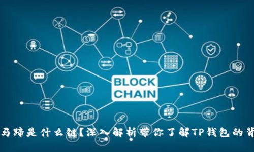 TP钱包马蹄是什么链？深入解析带你了解TP钱包的背后技术