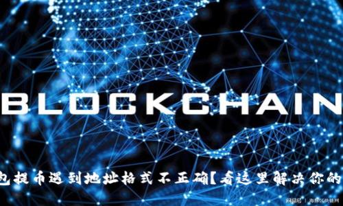 TP钱包提币遇到地址格式不正确？看这里解决你的烦恼！