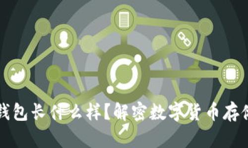 比特币钱包长什么样？解密数字货币存储的秘密