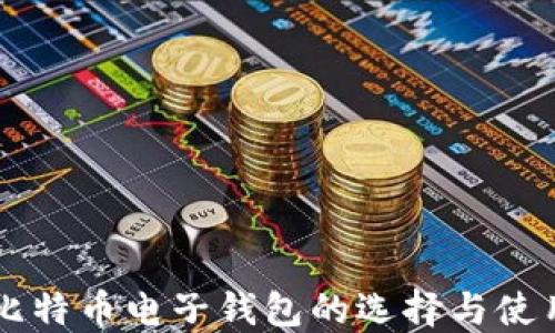 
美国比特币电子钱包的选择与使用指南