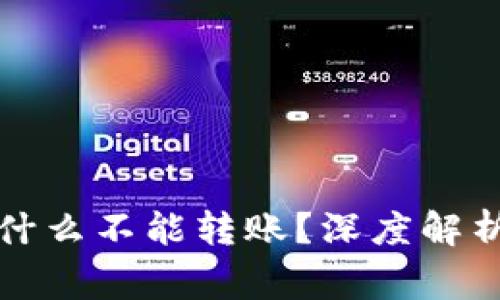TP钱包导入私钥后为什么不能转账？深度解析常见问题及解决方法