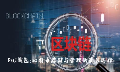 Pul钱包：比特币存储与管理的最佳选择
