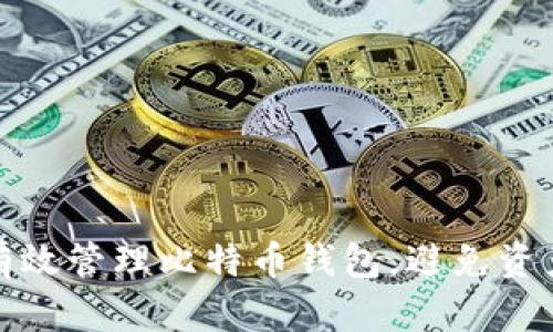 如何有效管理比特币钱包，避免资产丢失