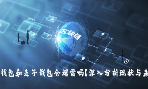 TP钱包和麦子钱包会爆雷吗？深入分析现状与未来