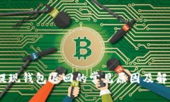 USDT提现钱包退回的常见原因及解决方案