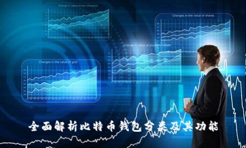 全面解析比特币钱包分类及其功能