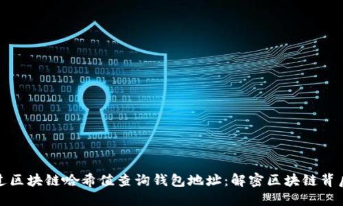 如何通过区块链哈希值查询钱包地址：解密区块链背后的秘密