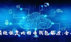 如何有效恢复比特币钱包额度：全面指南
