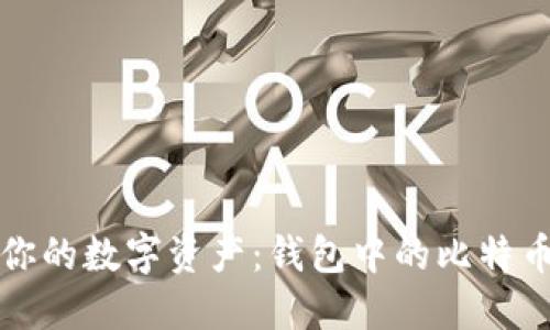 如何管理你的数字资产：钱包中的比特币安全指南