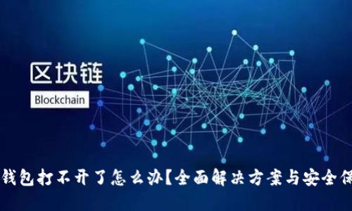 虚拟币钱包打不开了怎么办？全面解决方案与安全保护技巧
