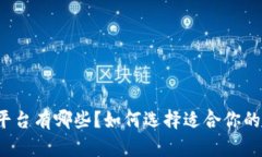 比特币钱包平台有哪些？如何选择适合你的比特