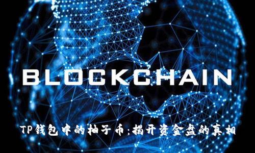 TP钱包中的柚子币：揭开资金盘的真相