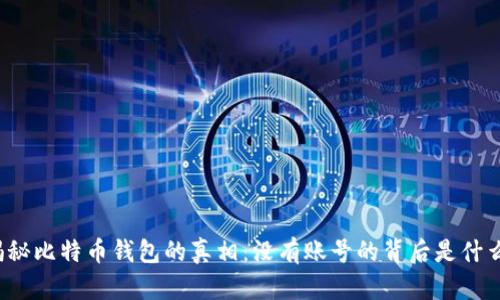 揭秘比特币钱包的真相：没有账号的背后是什么？