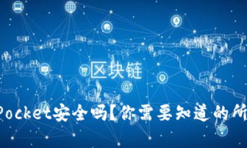 TokenPocket安全吗？你需要知道的所有信息