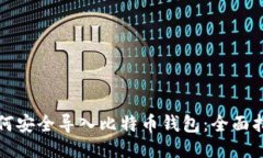 如何安全导入比特币钱包