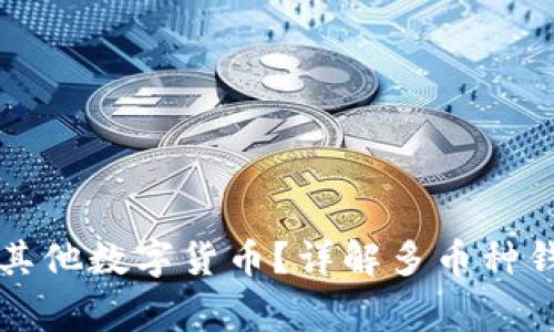 比特币钱包能否存放其他数字货币？详解多币种钱包的优势与注意事项